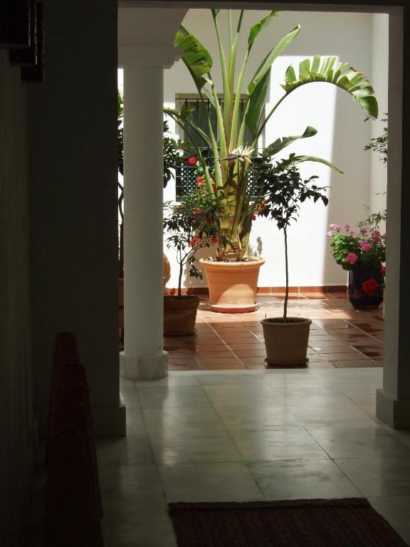 Casa Atlantica Beautiful Apartments Rota Dış mekan fotoğraf