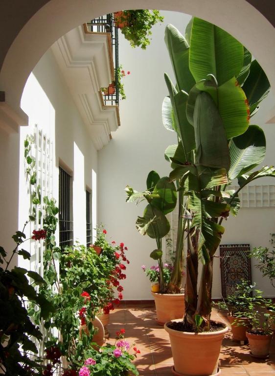 Casa Atlantica Beautiful Apartments Rota Dış mekan fotoğraf